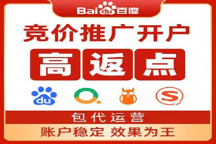 百度推广公司案例解析：如何利用大数据优化营销策略